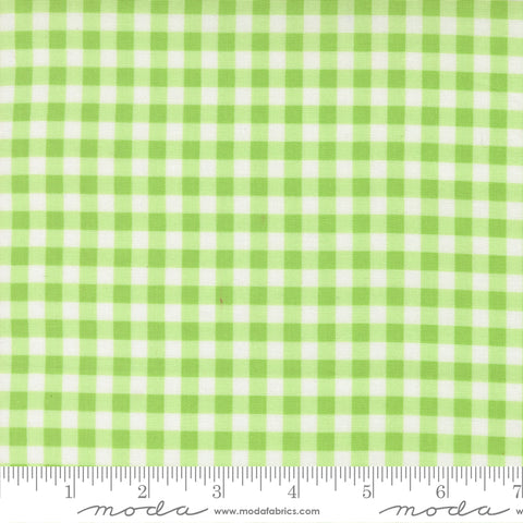 Fruit Salad Lime Gingham Yardage by Corey Yoder for Moda Fabrics
