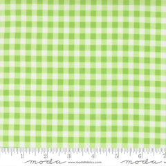 Fruit Salad Lime Gingham Yardage by Corey Yoder for Moda Fabrics