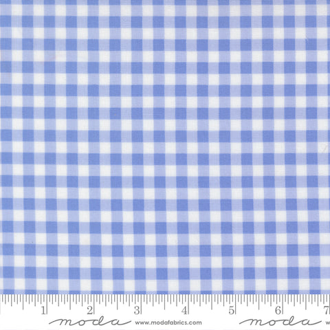 Fruit Salad Light Blue Gingham Yardage by Corey Yoder for Moda Fabrics