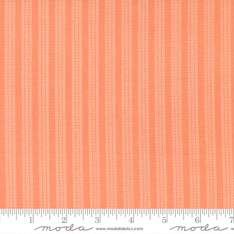 Fruit Salad Coral Stripes Yardage by Corey Yoder for Moda Fabrics