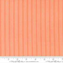 Fruit Salad Coral Stripes Yardage by Corey Yoder for Moda Fabrics