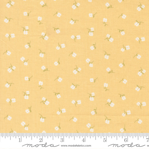 Pastel Prairie Afternoon Tinys Yardage by Heather Briggs for Moda Fabrics