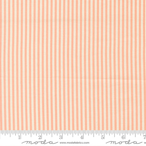 Pastel Prairie Jovial Stripes Yardage by Heather Briggs for Moda Fabrics