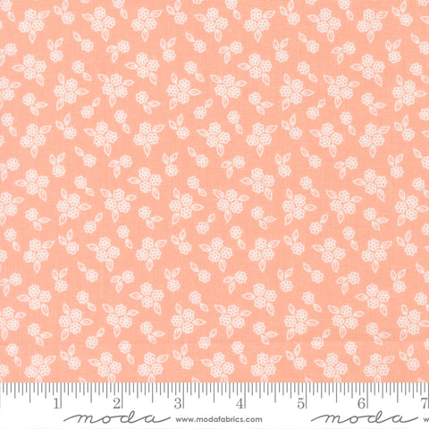 Pastel Prairie Jovial Petals Yardage by Heather Briggs for Moda Fabrics