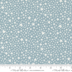 Play Ball Dolphin Super Stars Yardage by Moda Fabrics