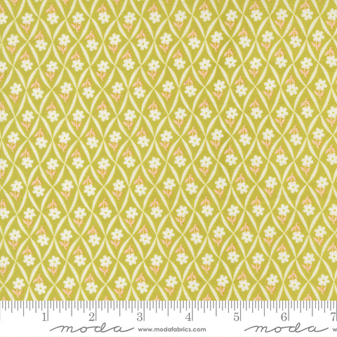 Rosie Green Apple Climbing Daisy Yardage by Fig Tree & Co. for Moda Fabrics