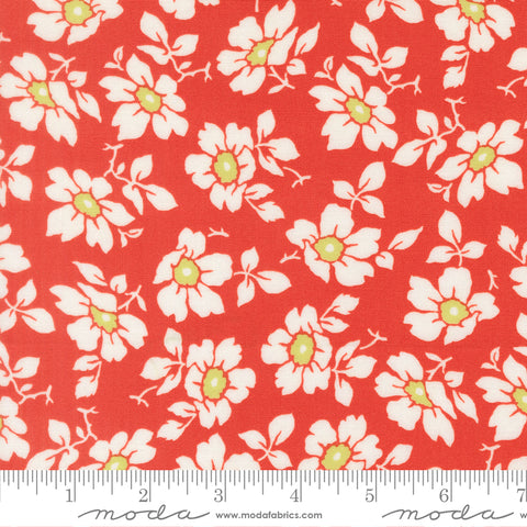 Summer's End Persimmon Cosmos Yardage by Fig Tree & Co. for Moda Fabrics
