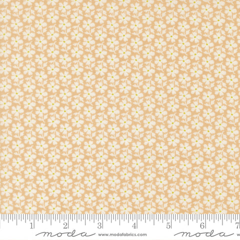 Summer's End Almond Pie Daisies Yardage by Fig Tree & Co. for Moda Fabrics