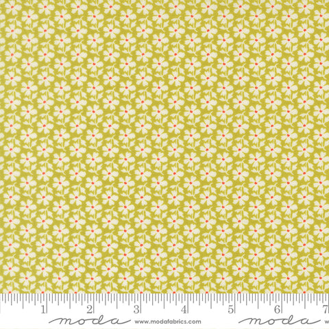 Summer's End Grass Daisies Yardage by Fig Tree & Co. for Moda Fabrics