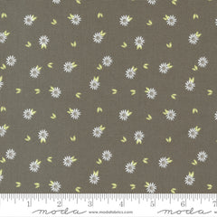 Favorite Things Charcoal Chamomile yardage by Sherri & Chelsi for Moda Fabrics