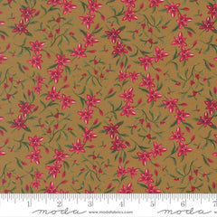 Silent Night North Sage Star of Bethlehem Yardage by Watercolour Heart for Moda Fabrics