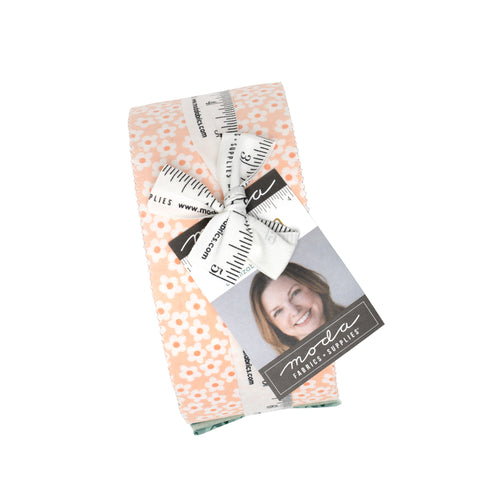 PREORDER Popcorn Jelly Roll by Elizabeth Hartman for Moda Fabrics