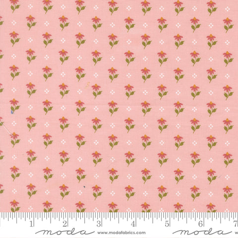 Wild Honey Carnation Bumbling Posies Yardage by Lella Boutique for Moda Fabrics