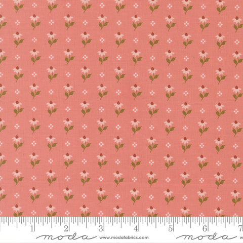 Wild Honey Rose Water Bumbling Posies Yardage by Lella Boutique for Moda Fabrics
