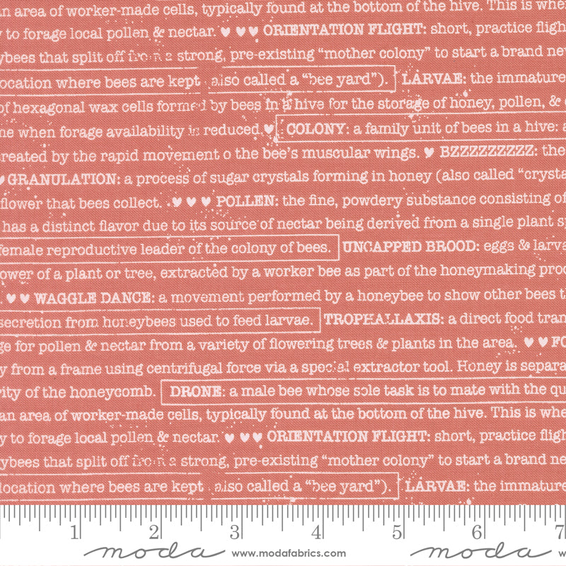 Wild Honey Rose Water Buzz Words Yardage by Lella Boutique for Moda Fabrics