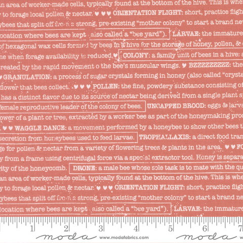 Wild Honey Rose Water Buzz Words Yardage by Lella Boutique for Moda Fabrics
