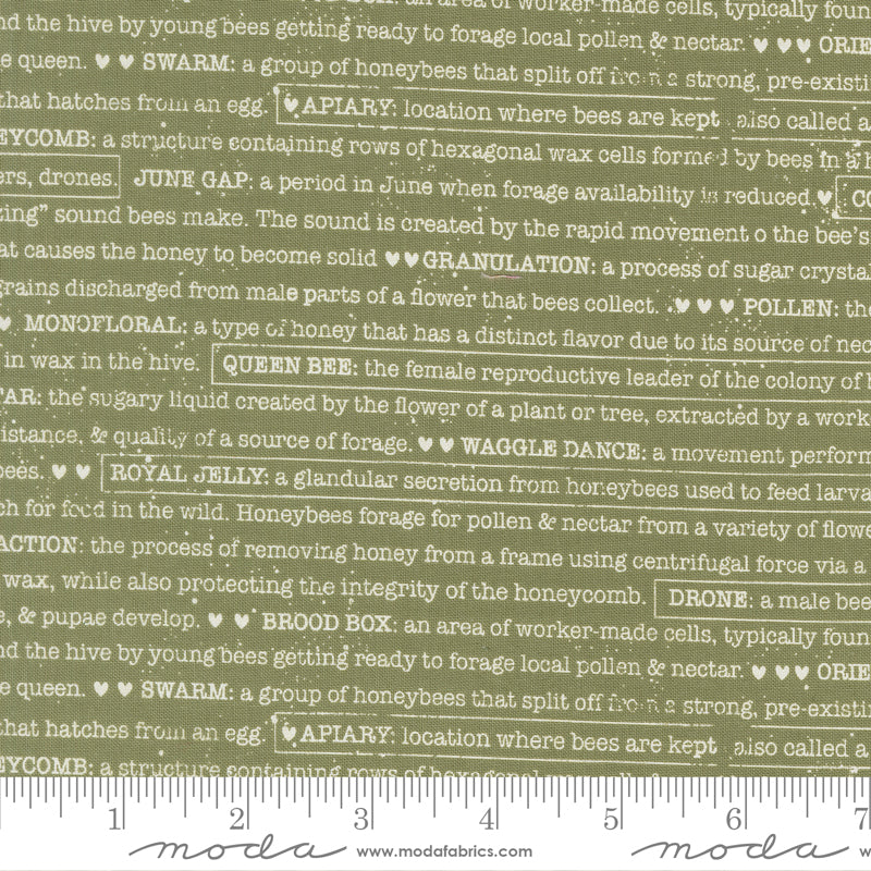Wild Honey Fern Buzz Words Yardage by Lella Boutique for Moda Fabrics