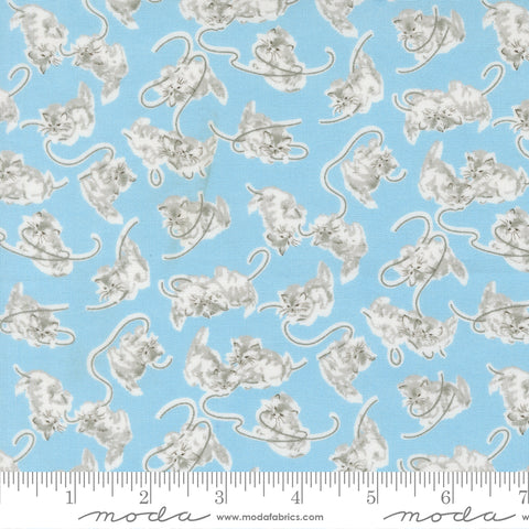 A Cat Named Stitch Sky Georgie Yardage by Camille Roskelley for Moda Fabrics