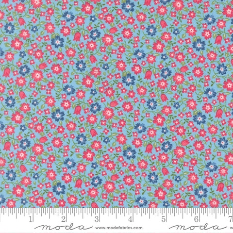 A Cat Named Stitch Sky Lucky Yardage by Camille Roskelley for Moda Fabrics