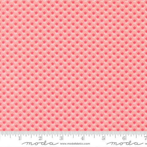 A Cat Named Stitch Blush June Yardage by Camille Roskelley for Moda Fabrics