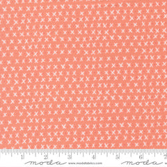 Lucky Flower Xs and Os Yardage by Sweetwater for Moda Fabrics