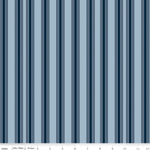 Freedom Garden Sky Stripes Yardage by My Mind's Eye for Riley Blake Designs