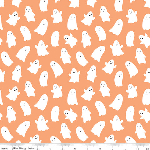 Hey Pumpkin Pumpkin Ghosts Yardage by My Mind's Eye for Riley Blake Designs