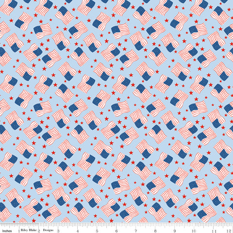 Firecracker Frost Flags Yardage by My Mind's Eye for Riley Blake Designs