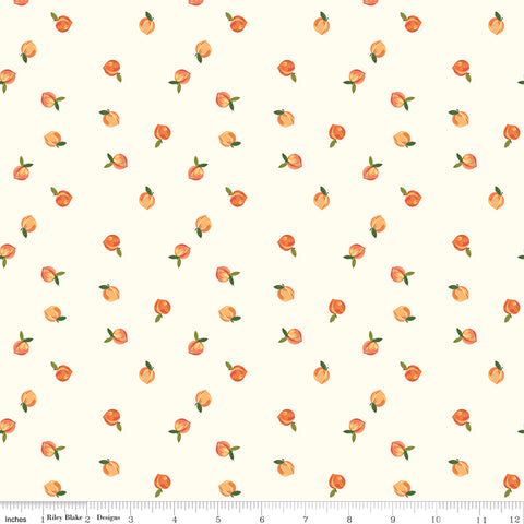 Southern Charm Cloud Peaches Yardage by RBD Designers for Riley Blake Designs