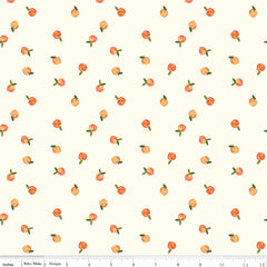 Southern Charm Cloud Peaches Yardage by RBD Designers for Riley Blake Designs