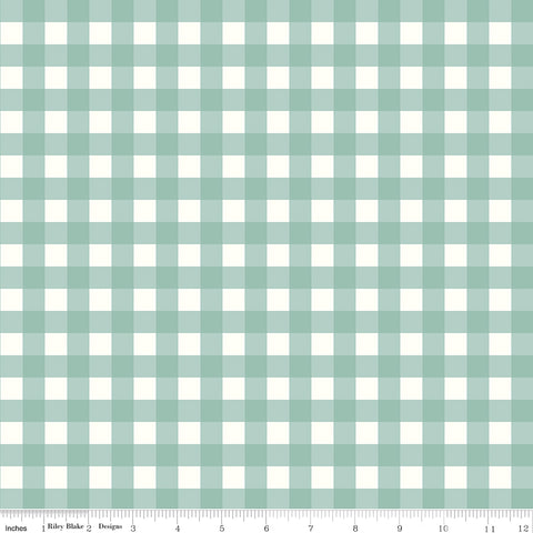 Love You to the Moon Powder Gingham Yardage by Echo Park Paper Co. for Riley Blake Designs