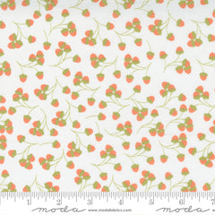 Cozy Up Cloud Acorns Yardage by Corey Yoder for Moda Fabrics