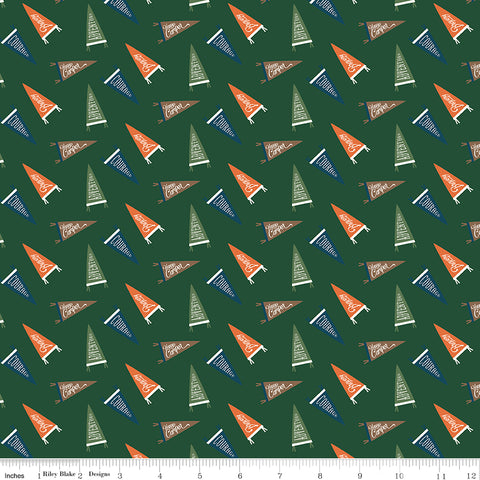 Adventure is Calling Green Flags Yardage by Dani Mogstad for Riley Blake Designs
